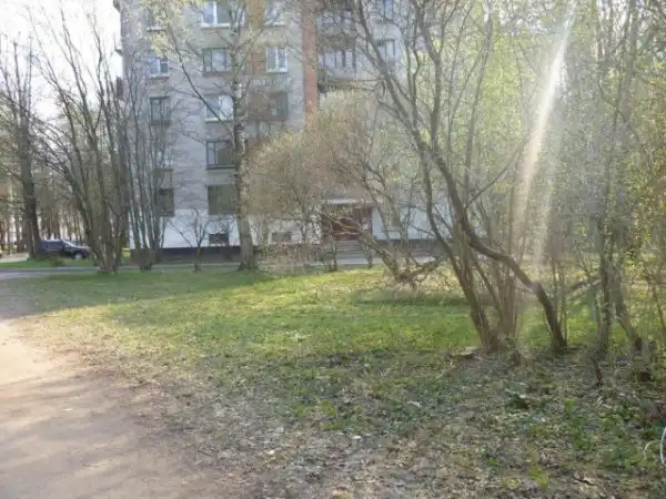 Хотите немного уличной магии?