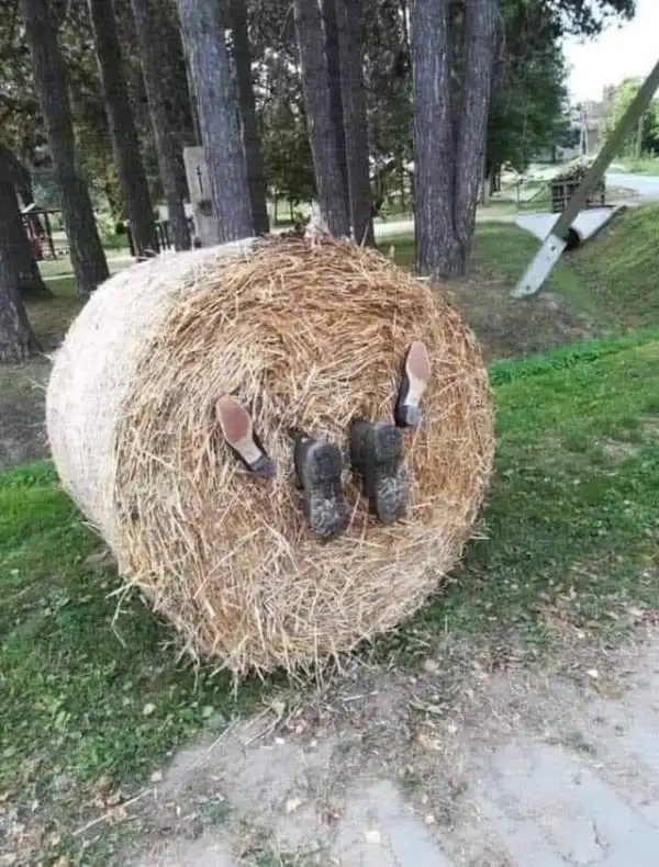 Прикольные пикчи