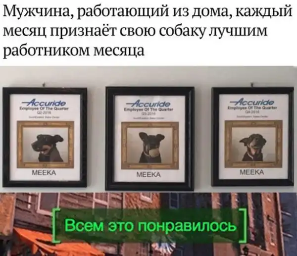Прикольные и смешные картинки