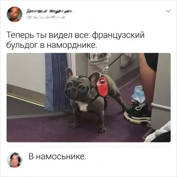 Новая подборка смешных комментариев