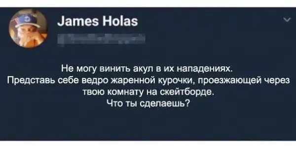 Прикольные комментарии и высказывания из Сети