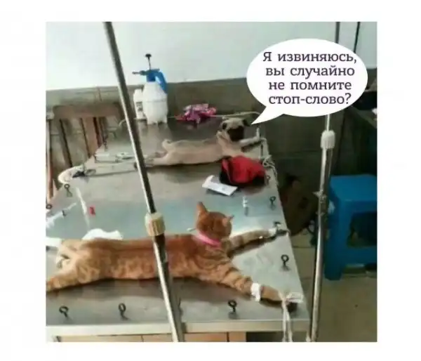 Не очень адекватный юмор