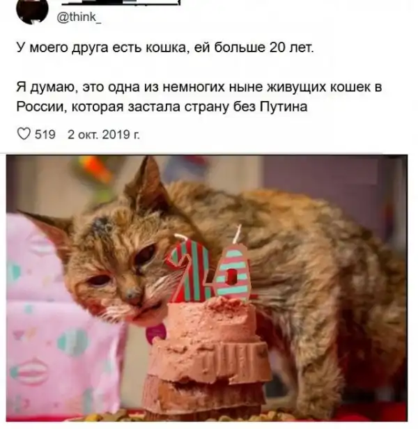 Картинки с надписями, истории и анекдоты