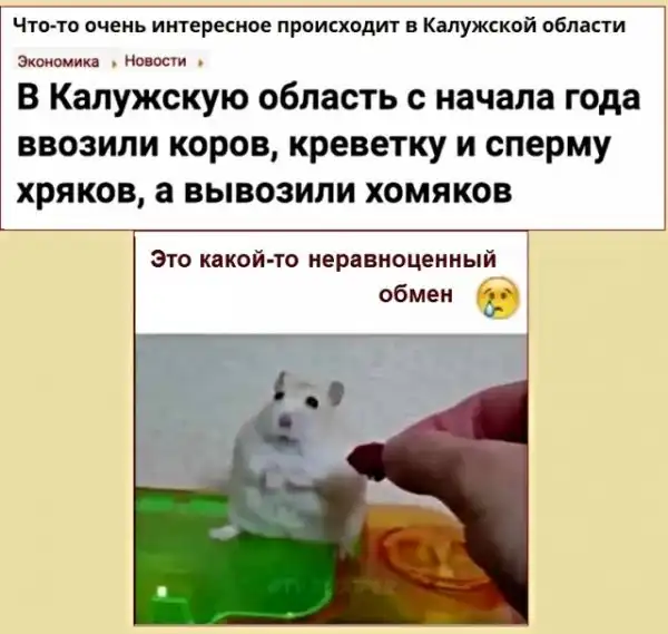 Картинки с надписями, истории и анекдоты