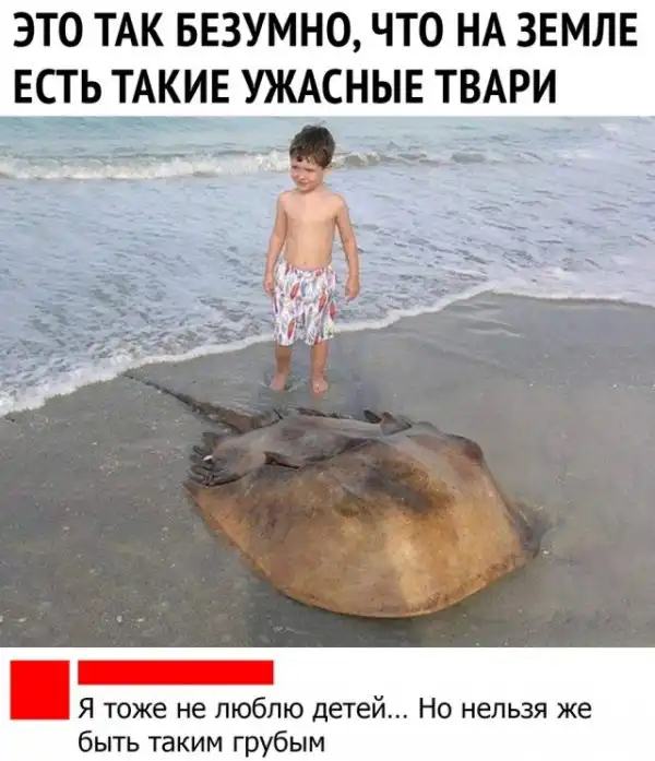 Чуток картинок