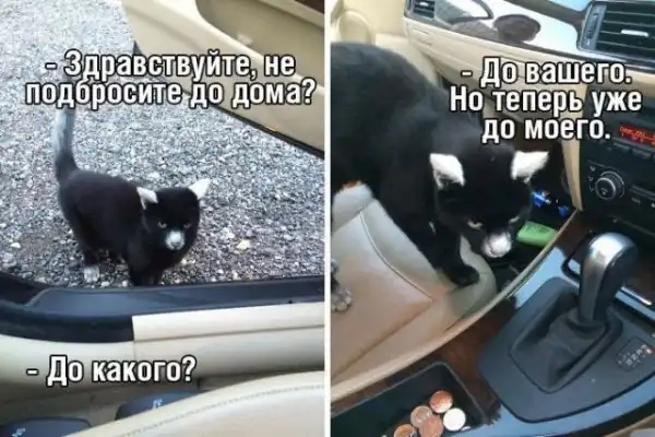 Чуток картинок
