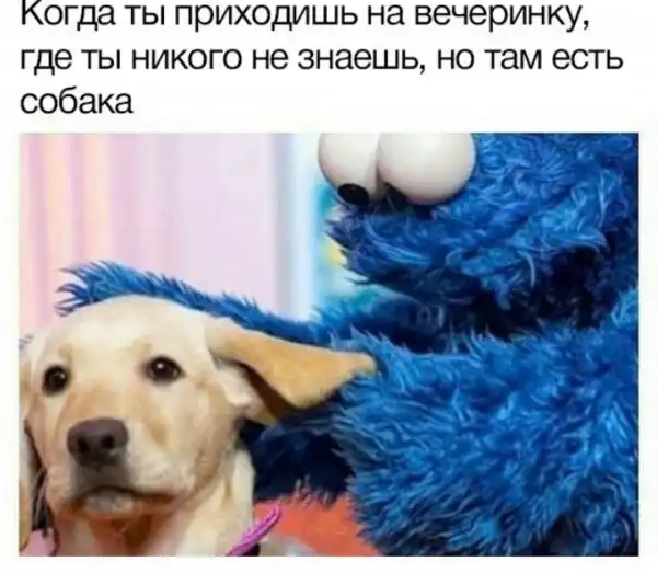 Нестандартный юмор :)