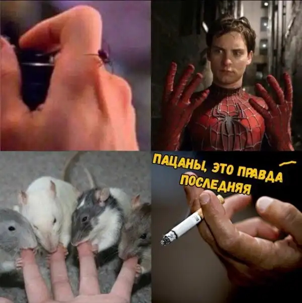 Нестандартный юмор :)