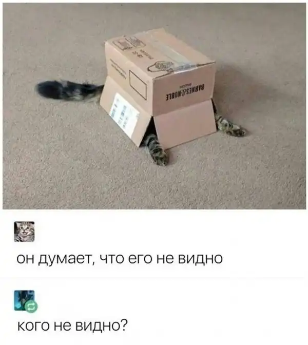 Нестандартный юмор :)
