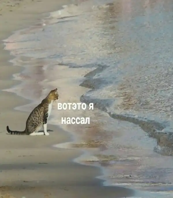Нестандартный юмор :)