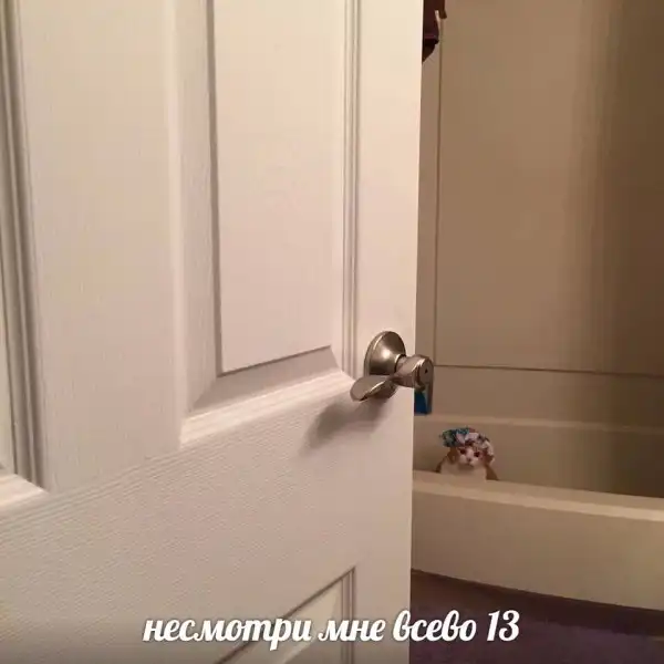 Нестандартный юмор :)