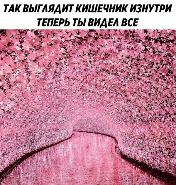 Нестандартный юмор :)