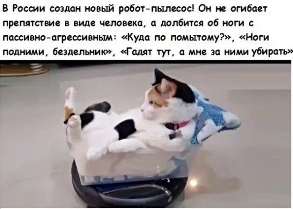 Картинки с надписями, истории и анекдоты