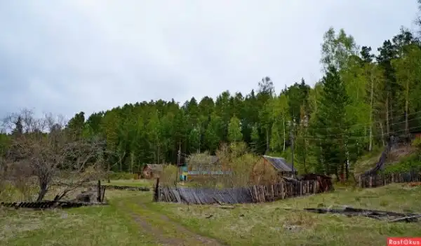 Таежные деревушки