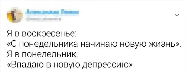 Забавные и немного грустные твиты о жизни