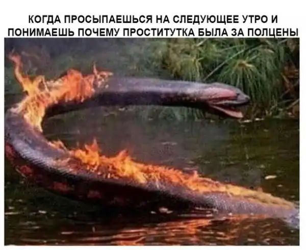 Доброе