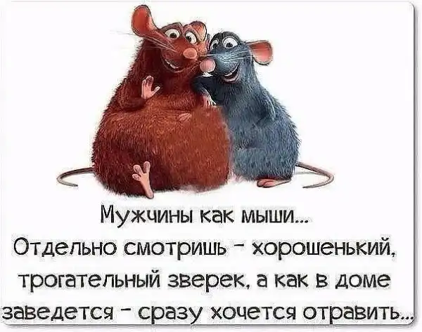 Прикольные картинки и фото