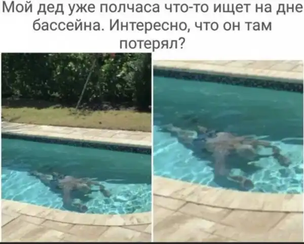 Бредзона