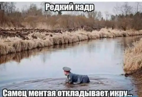 Бредзона
