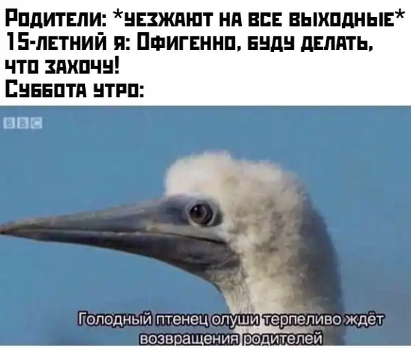 Немного картинок с надписями и без