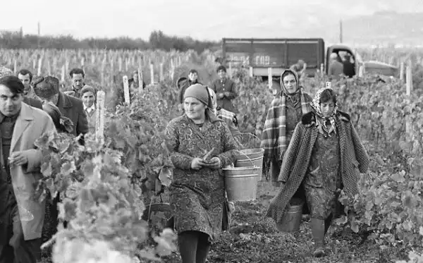 Повседневная жизнь в советской Грузии 1976 года в фотографиях шведского фотографа