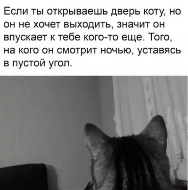 Немного картинок для настроения