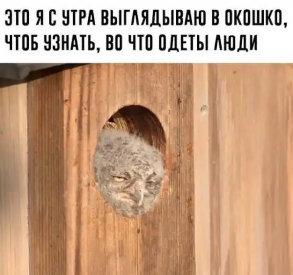 Немного картинок для настроения
