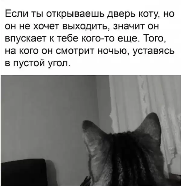 Немного картинок для настроения