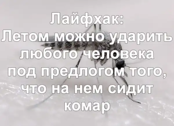 Просто картинки с текстом