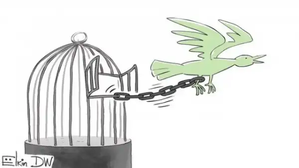 Немного Ёлкина