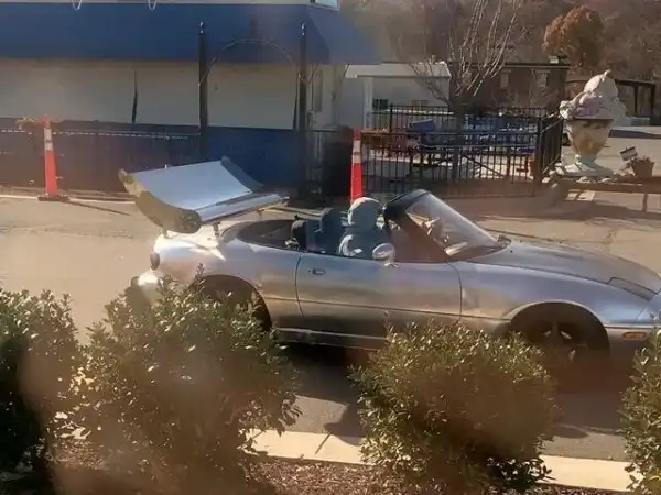 Автовсячина
