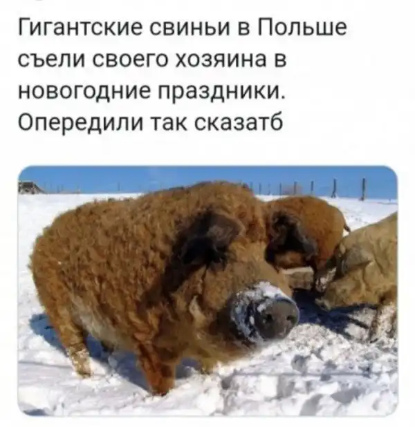 Бредзона