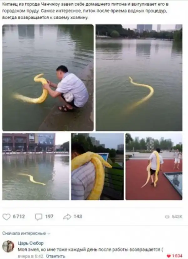 Бредзона