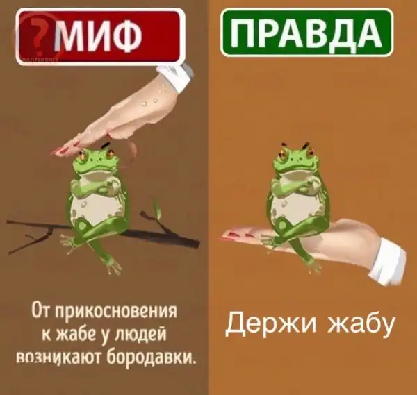 Нестандартный юмор :)