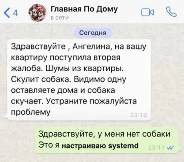 IT-юмор для людей, знающих всю суть фразы 