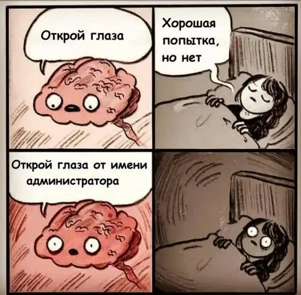 IT-юмор для людей, знающих всю суть фразы 