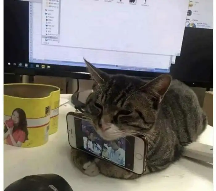 Планировка совмещенной кухни и ванной