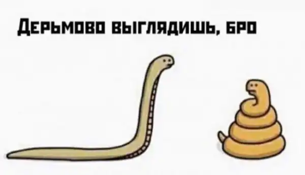 Картинки и мемы для настроения