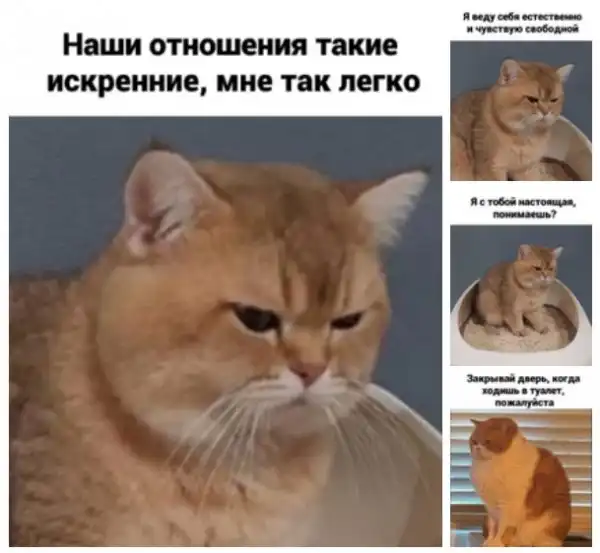 Кретинизмы из сети