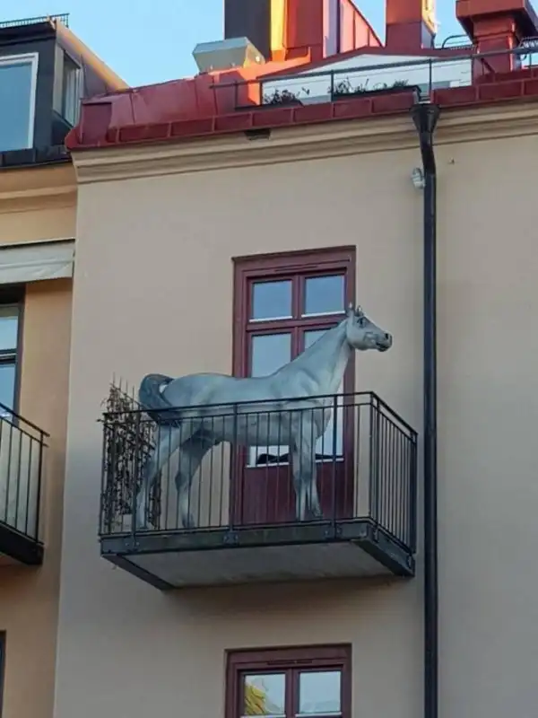 Картинки