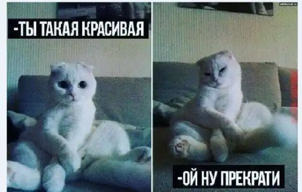 Картинки и мемы для настроения