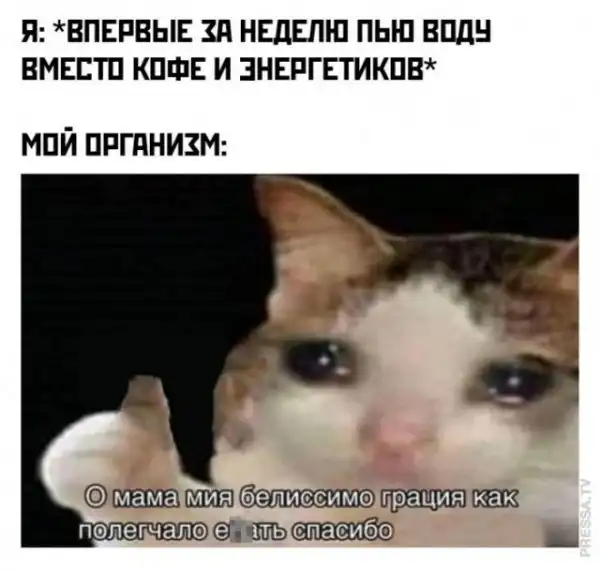 Картинки и мемы для настроения