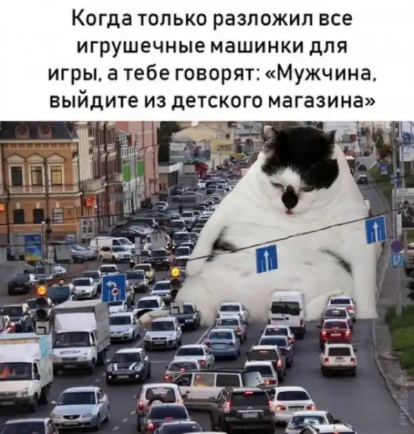 Картинки и мемы для настроения