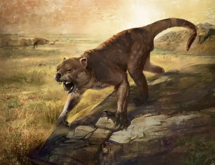Сумчатый лев: Бывший абсолютный Альфа хищник Австралии с укусом в 2 раза сильнее львиного