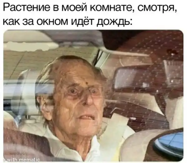 Картинки разные нужны, картинки всякие важны