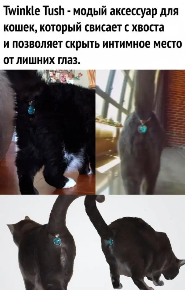 Картинки разные нужны, картинки всякие важны
