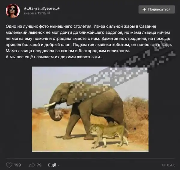 Куй железо правды, пока еще горячо: фейки, которые требуют разоблачения Куй железо правды, пока еще горячо: фейки, которые требуют разоблачения