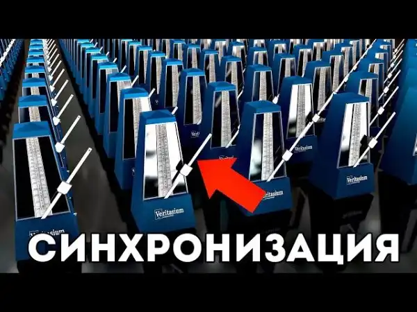 Veritasium: тайна синхронизации