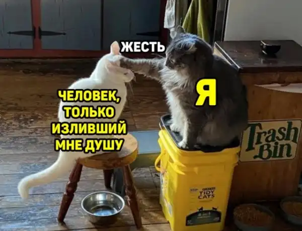 Весёлые