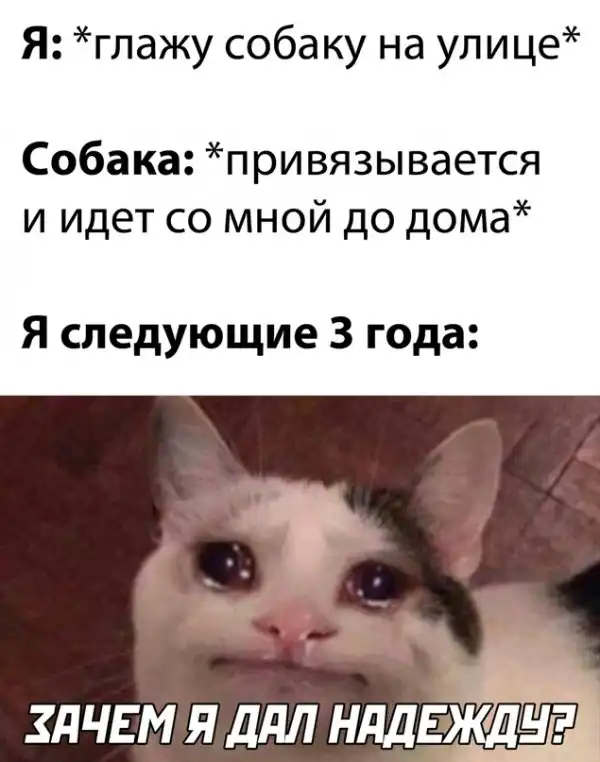 Весёлые